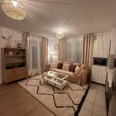 Cozy Situe A 10 Min De Aeroport De Roissy Cdg Situe A 1 Min A Pied De La Gare Rer Direction Paris Centre 20min *